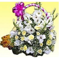 Attractive Orchid Basket Attractive Orchid Basket