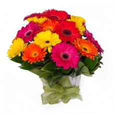 Mixed Coloured Gerbera Bouquet Mixed Coloured Gerbera Bouquet